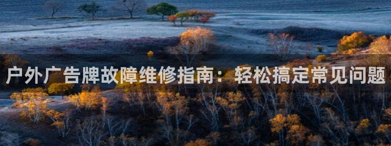 杏宇平台代理怎么样啊