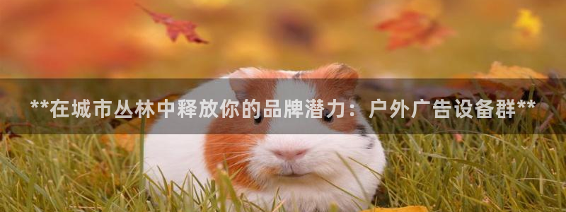 杏宇平台注册地址