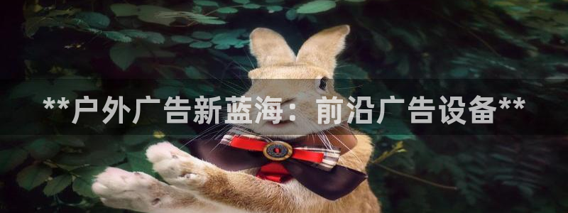 杏宇平台官网注册