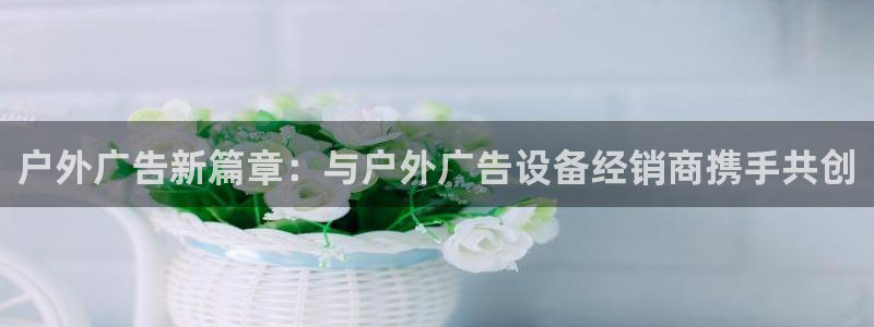杏宇平台总代理电话