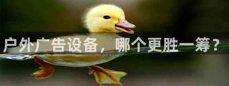 杏宇平台总代理电话