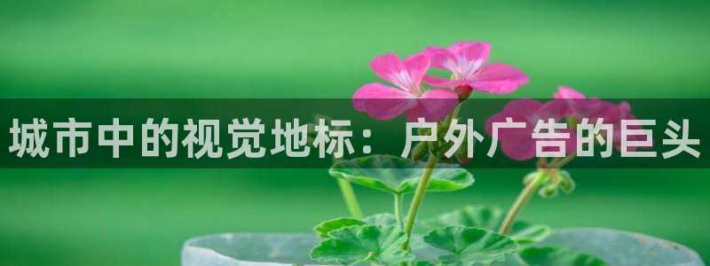 杏宇平台登录步骤