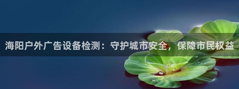 杏宇代理注册