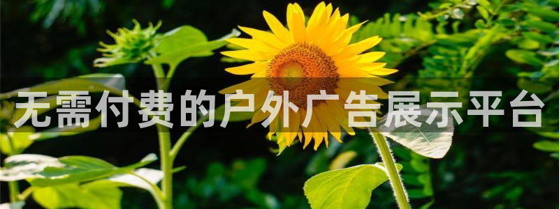 杏宇平台开户