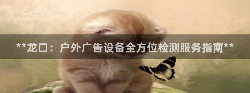 杏宇平台代理怎么赚钱快