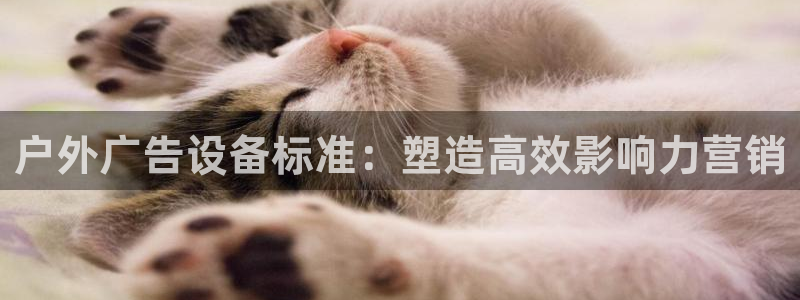 杏宇官方平台官网：户外广告设备标准：塑造高效影响力营销