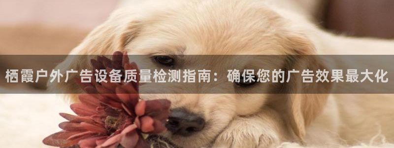 杏宇平台招商电话号码：栖霞户外广告设备质量检测指南：确保您的广告效果最大化