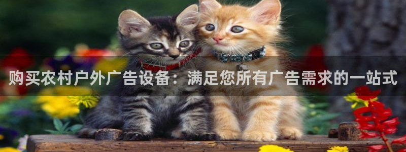 杏宇平台怎么样知乎：购买农村户外广告设备：满足您所有广告需求的一站式