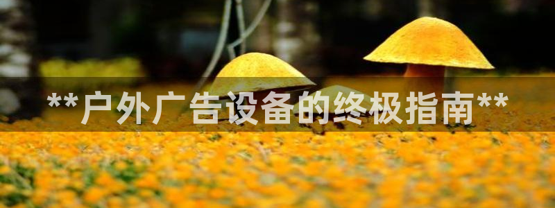 杏宇平台登陆：**户外广告设备的终极指南**