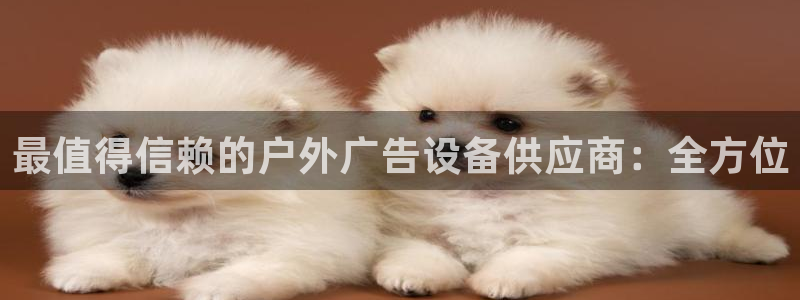 杏宇平台主管：最值得信赖的户外广告设备供应商：全方位
