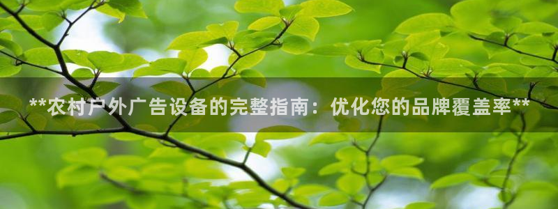 杏宇平台注册登录：**农村户外广告设备的完整指南：优化您的品牌覆盖率**