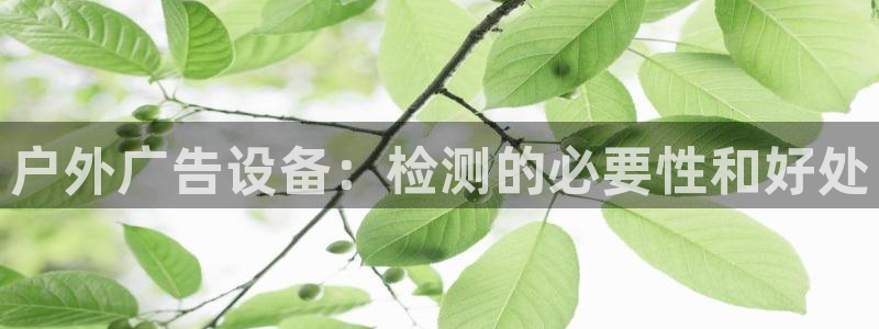 杏宇平台注册地址