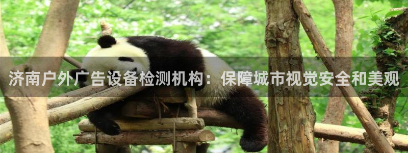 杏宇平台招商怎么样：济南户外广告设备检测机构：保障城市视觉安全和美观