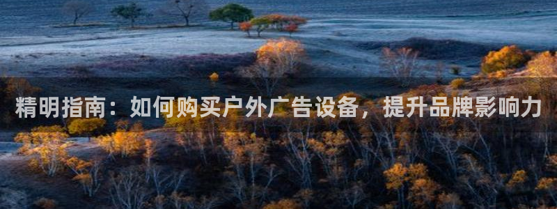 杏宇平台注册地址