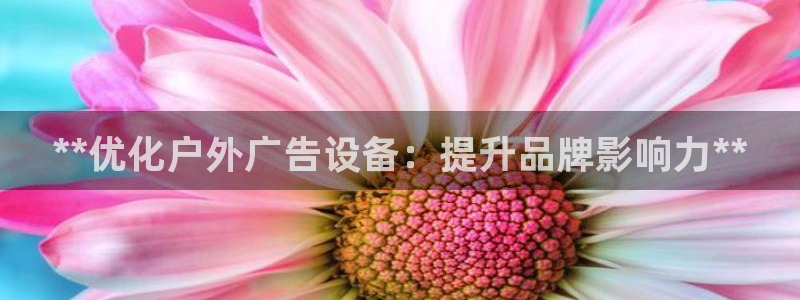 杏宇平台登录步骤是什么：**优化户外广告设备：提升品牌影响力**