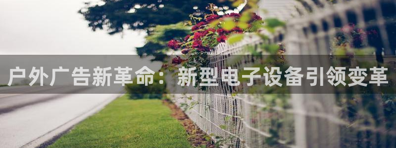 杏宇平台怎么样