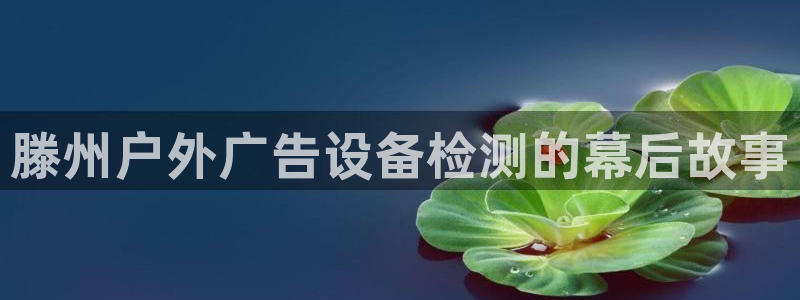杏宇平台代理
