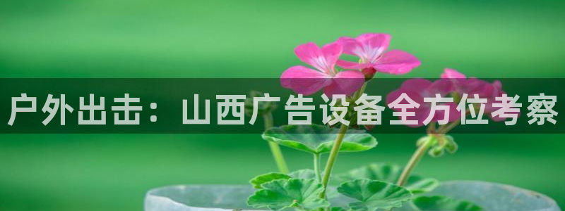 杏宇平台主管