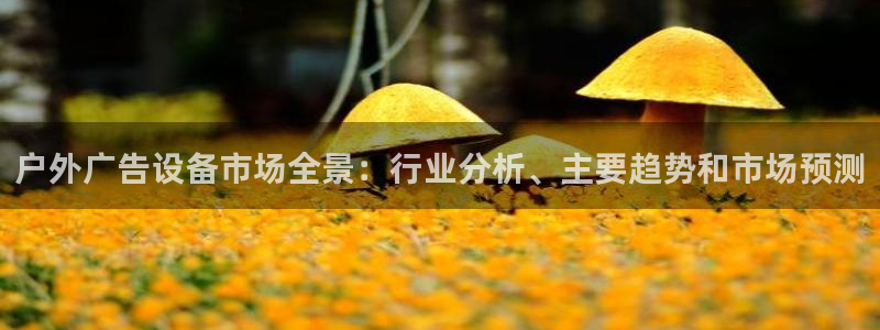 杏宇平台代理多少钱一个月：户外广告设备市场全景：行业分析、主要趋势和市场预测