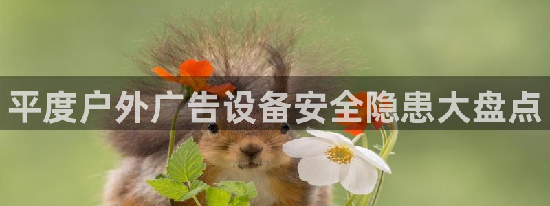 杏宇平台代理多少钱一个月