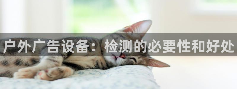 杏宇平台是什么