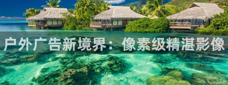 杏宇平台招商