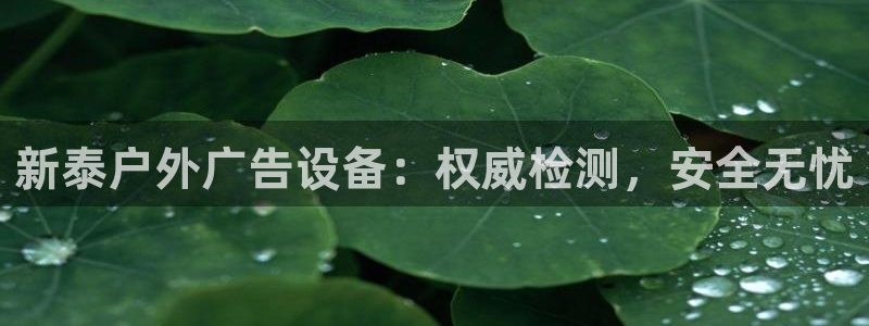 杏宇平台代理怎么赚钱快