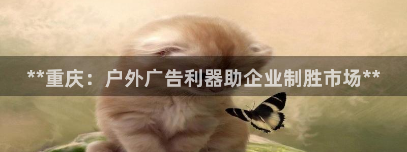 杏宇平台开户
