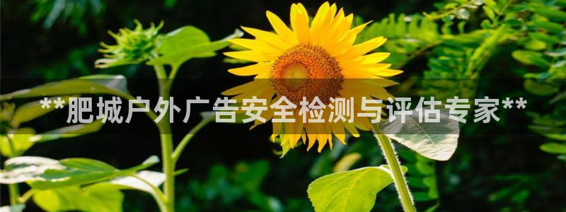 杏宇平台代理怎么赚钱：**肥城户外广告安全检测与评估专家**