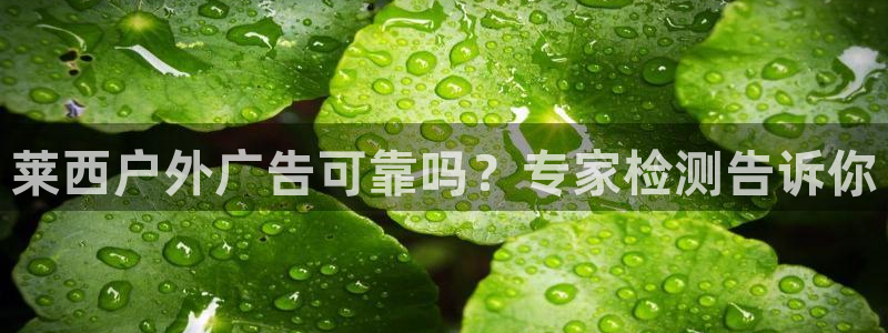 杏宇平台好吗