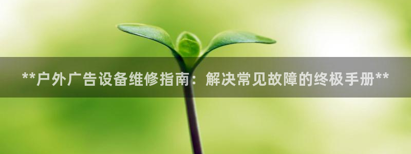 杏宇平台代理怎么样可靠吗