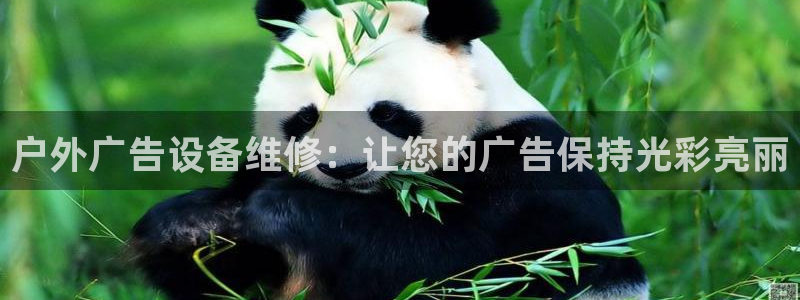 杏宇官方平台官网下载：户外广告设备维修：让您的广告保持光彩亮丽