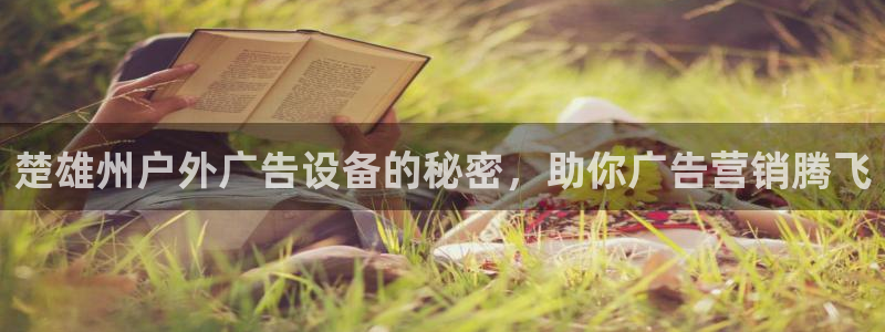 杏宇平台怎么样赚钱