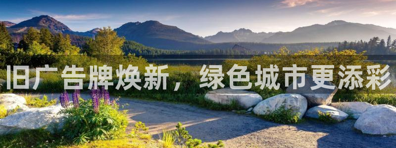 杏宇平台登录步骤是什么