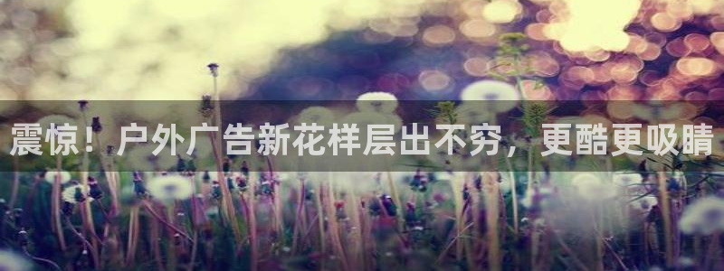 杏宇平台注册登录