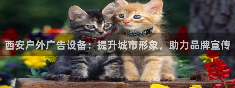 杏宇平台注册地址在哪里