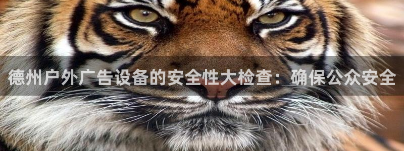 杏宇平台代理多少钱一个