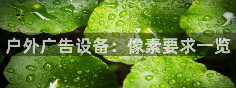 杏宇平台招商