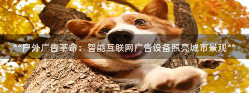 杏宇平台代理多少钱一个