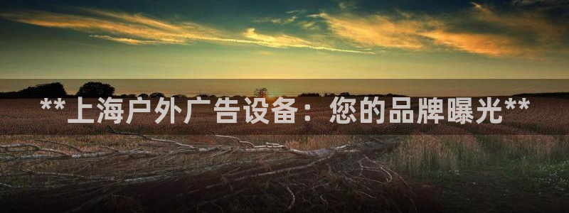 杏宇平台开户：**上海户外广告设备：您的品牌曝光**