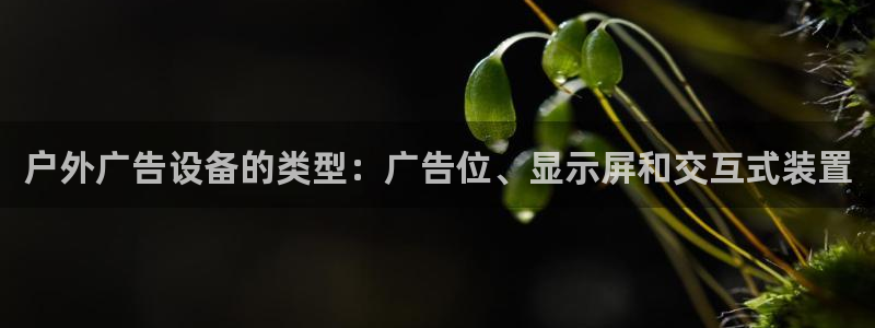 杏宇平台登陆：户外广告设备的类型：广告位、显示屏和交互式装置