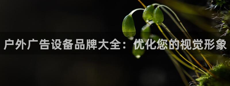 杏宇平台主管：户外广告设备品牌大全：优化您的视觉形象