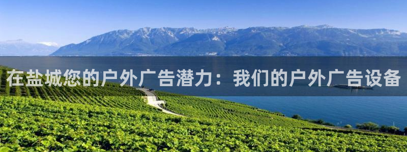 杏宇平台登录方法：在盐城您的户外广告潜力：我们的户外广告设备