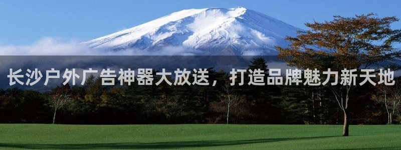 杏宇平台代理