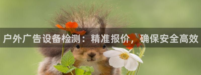杏宇平台代理多少钱一次