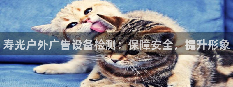 杏宇官方平台官网