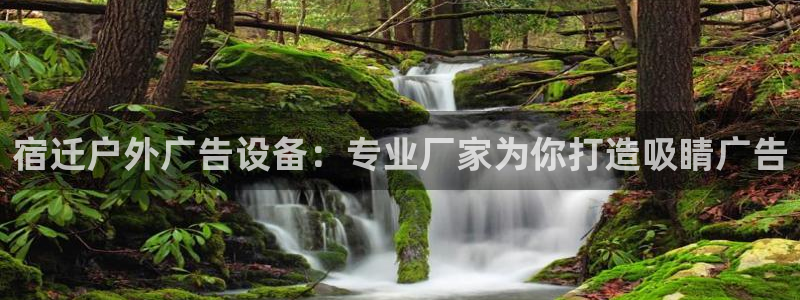 杏宇平台登陆