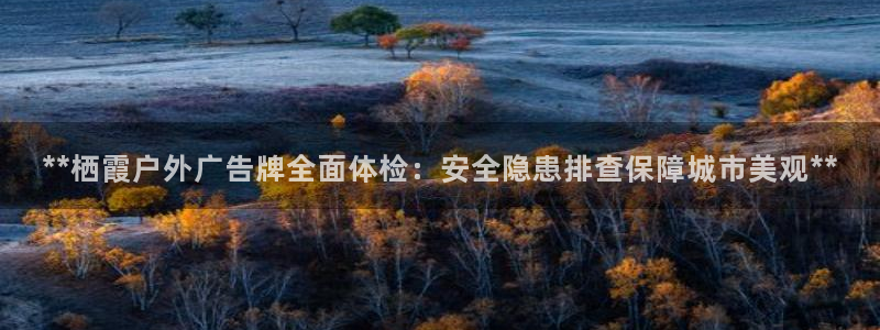 杏宇平台官网注册