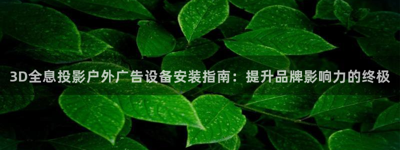 杏宇平台代理：3D全息投影户外广告设备安装指南：提升品牌影响力的终极