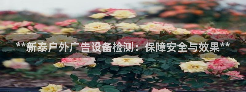 杏宇平台开户：**新泰户外广告设备检测：保障安全与效果**